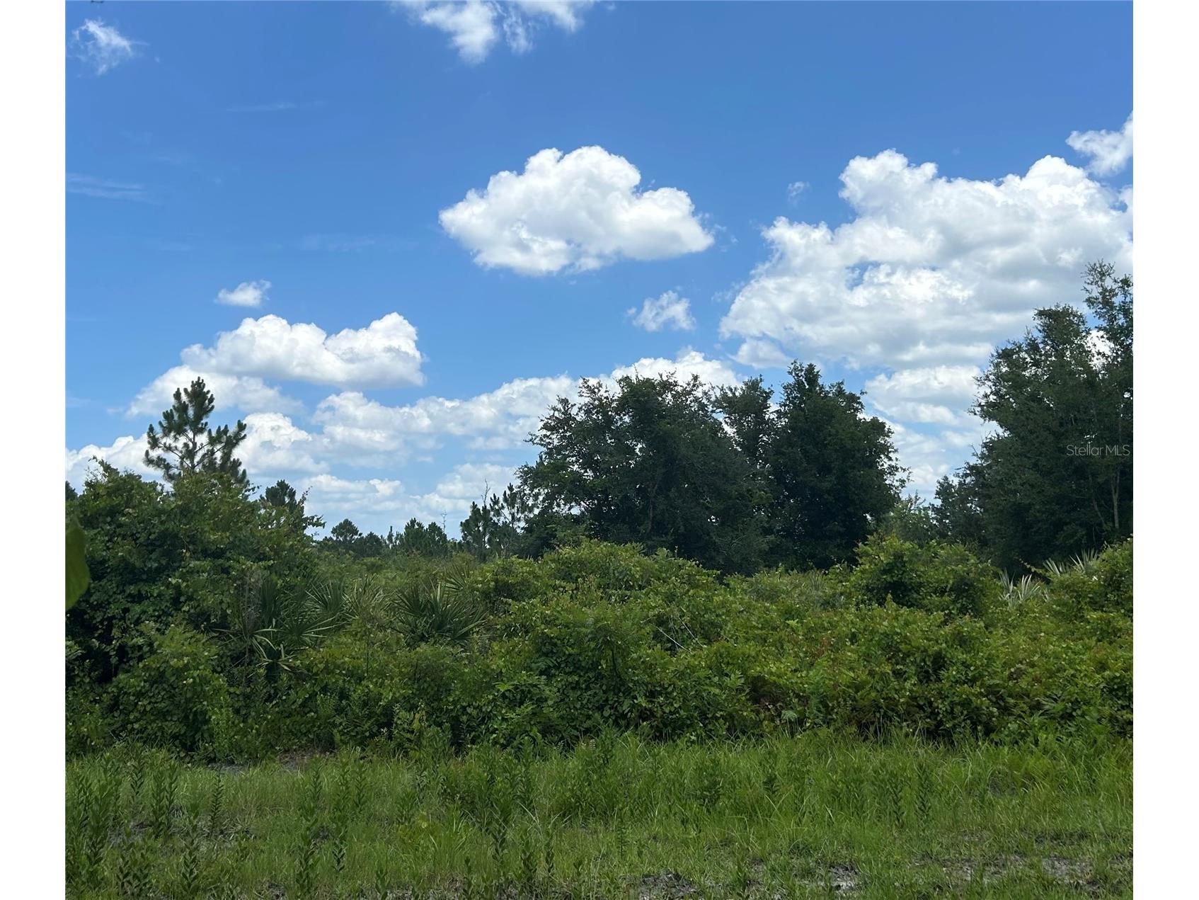 1671 Ford Road Mims FL 32754 V4949725 image6