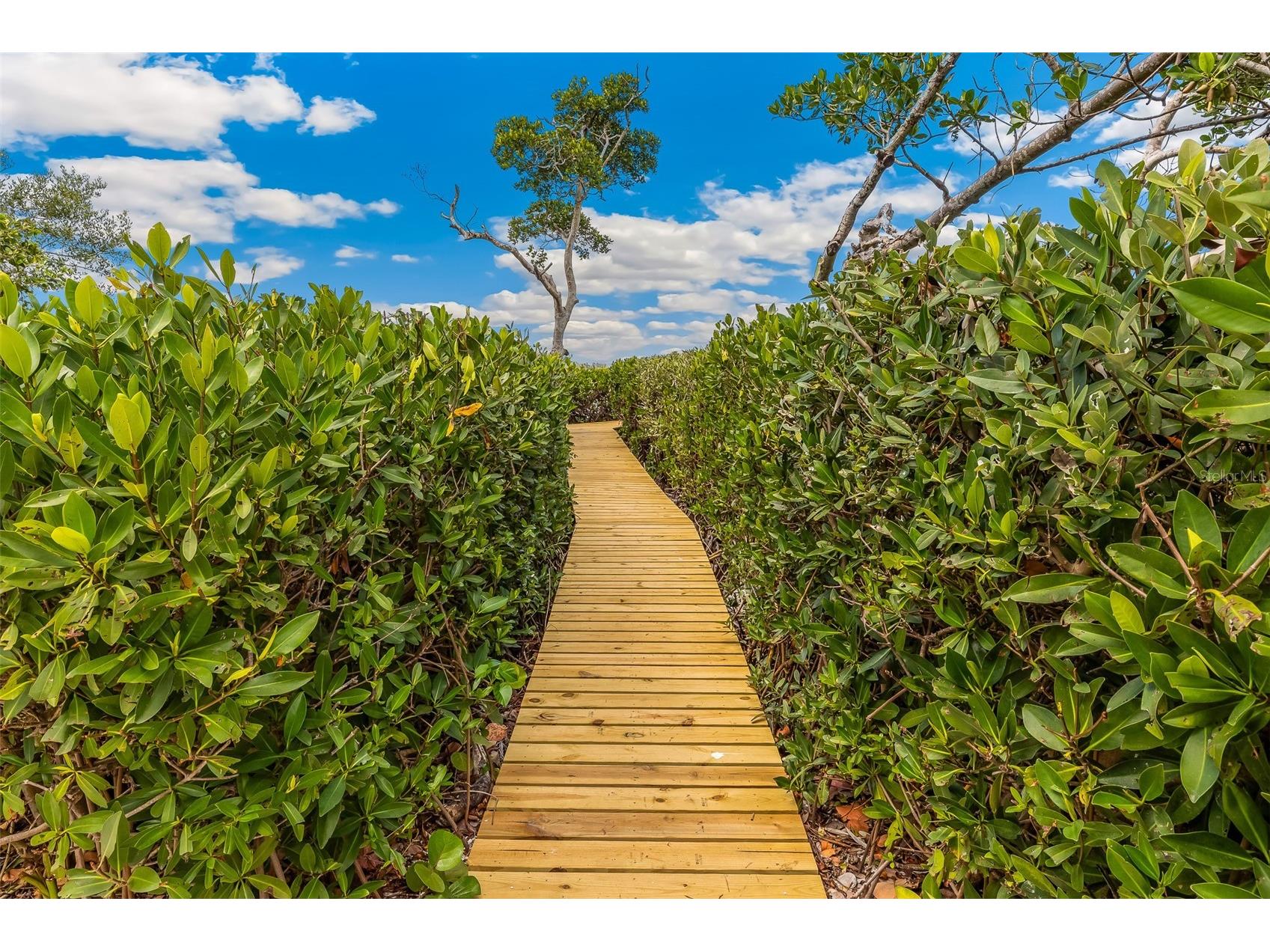 1671 Jose Gaspar Drive Boca Grande FL 33921 - GASPARILLA SOUND D6146862 image29