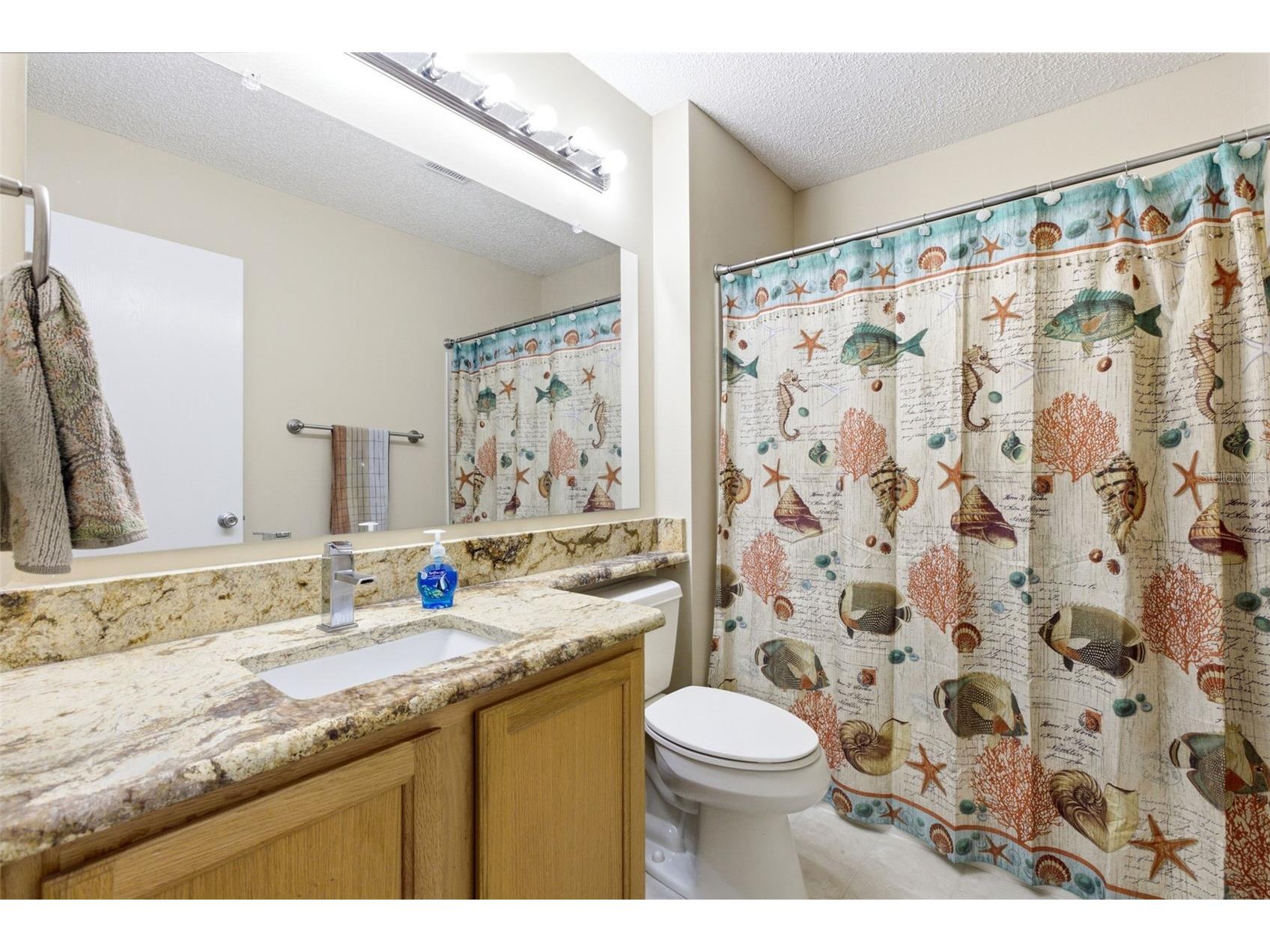 1671 Osprey Avenue The Villages FL 32162 TB8507850 image22