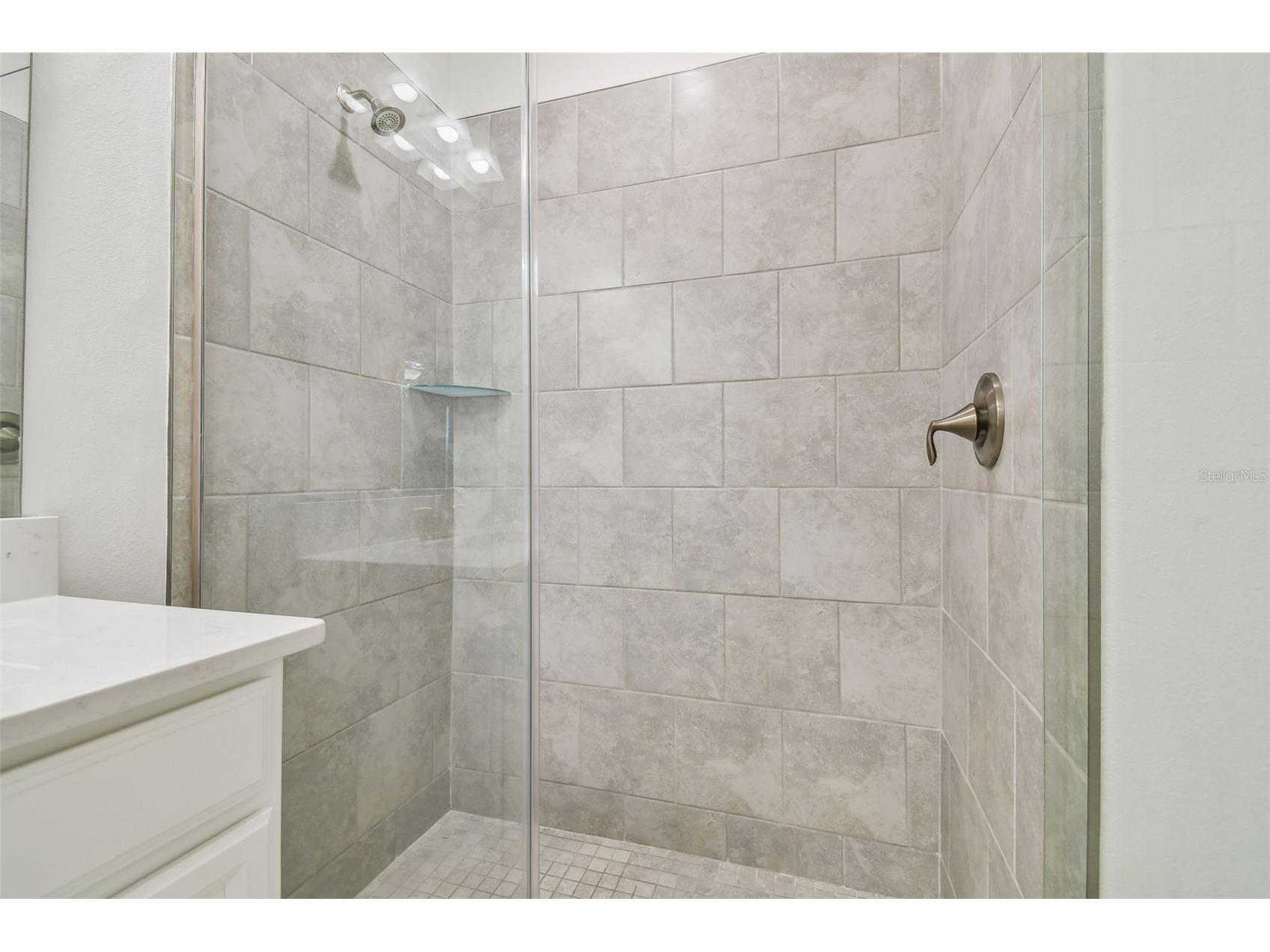 16710 Shell Bay Drive Land O Lakes FL 34638 TB8473237 image24