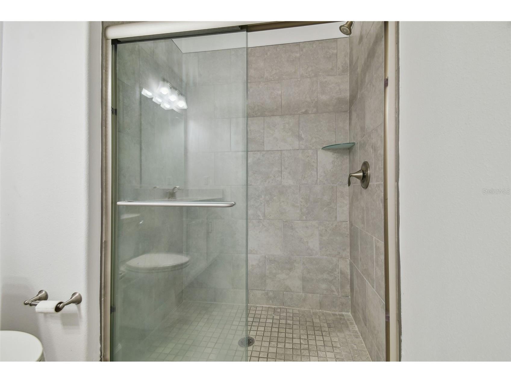 16710 Shell Bay Drive Land O Lakes FL 34638 TB8473237 image29