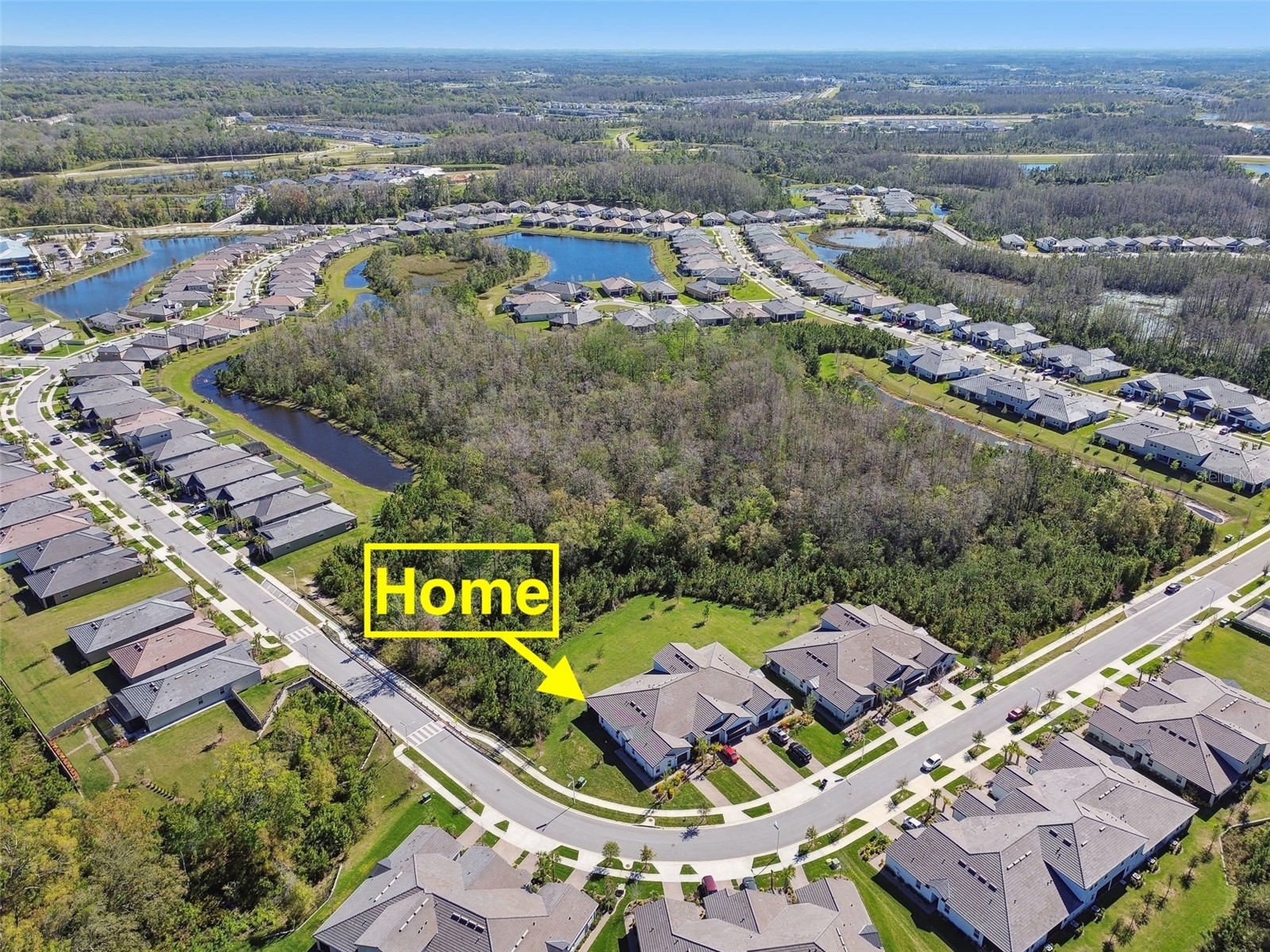 16710 Shell Bay Drive Land O Lakes FL 34638 TB8473237 image3