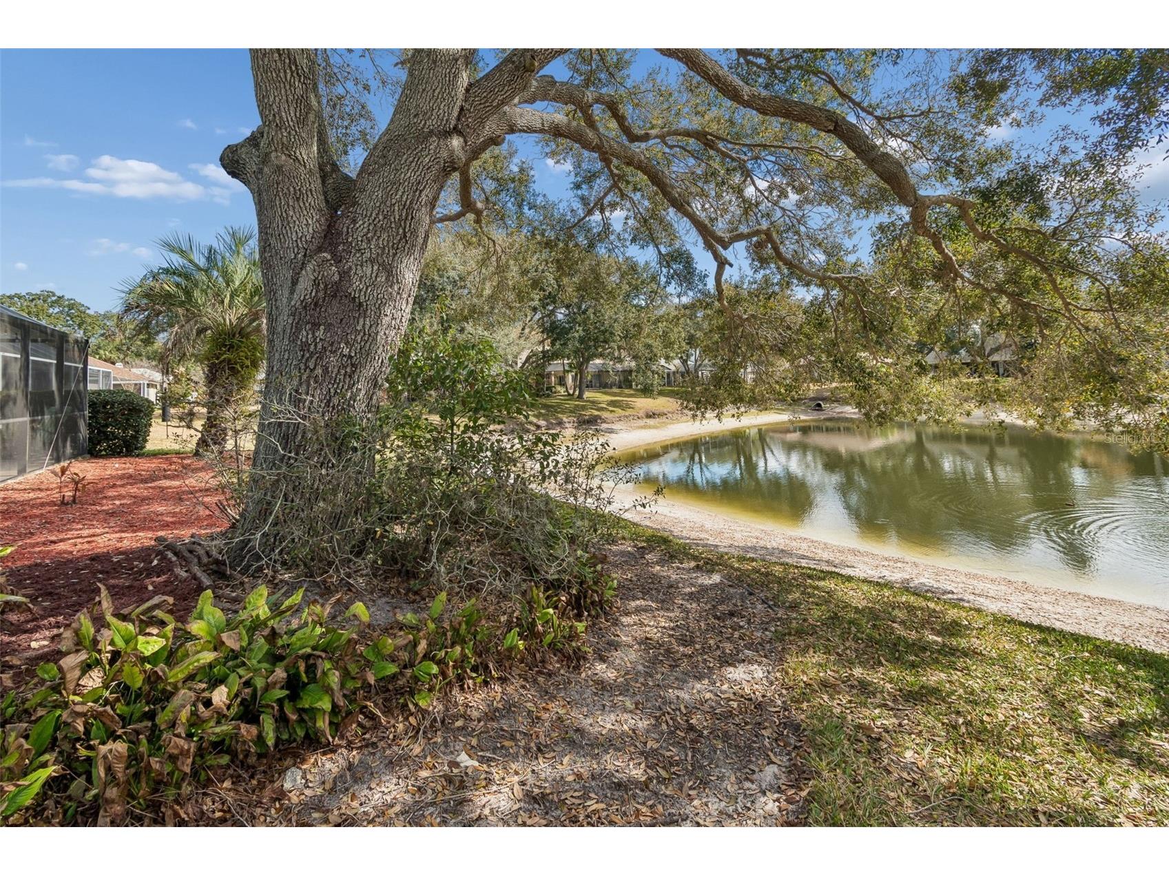 16711 Longleat Drive Lutz FL 33549 TB8476216 image58