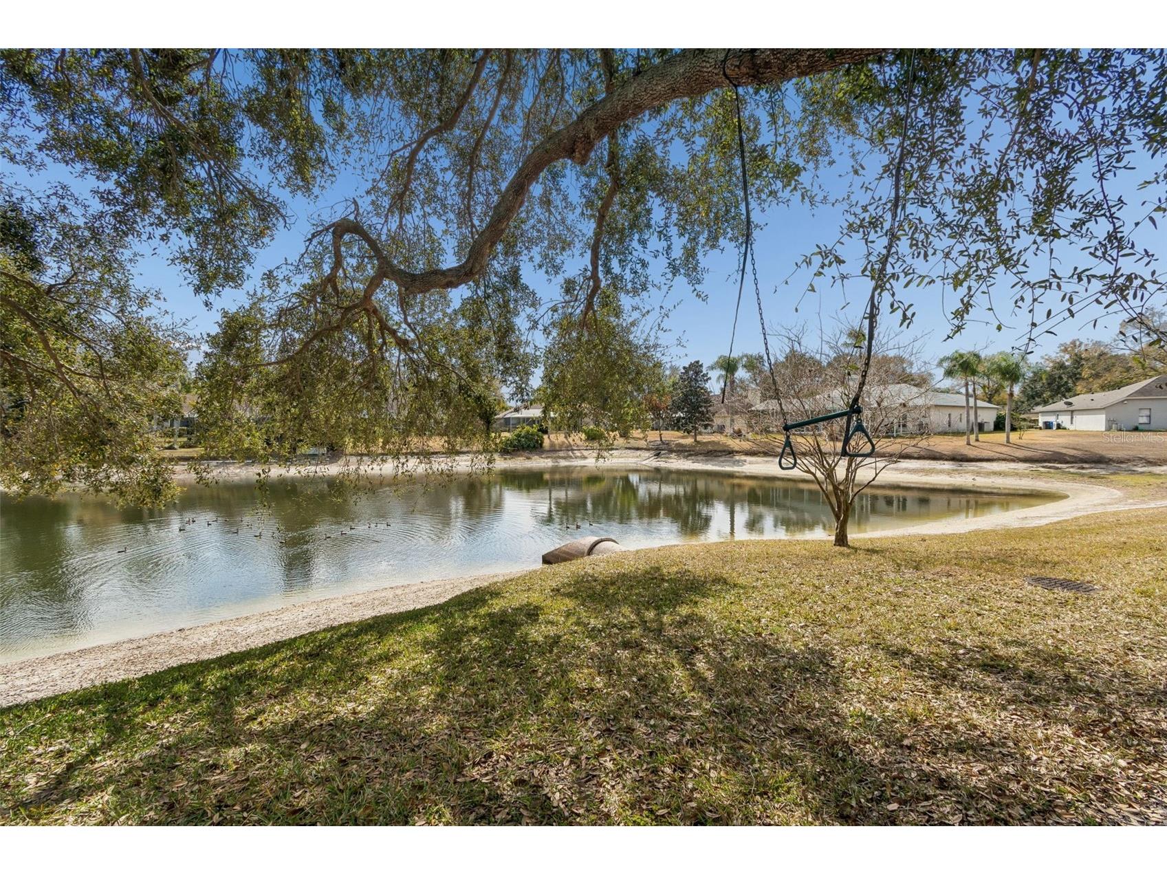 16711 Longleat Drive Lutz FL 33549 TB8476216 image59