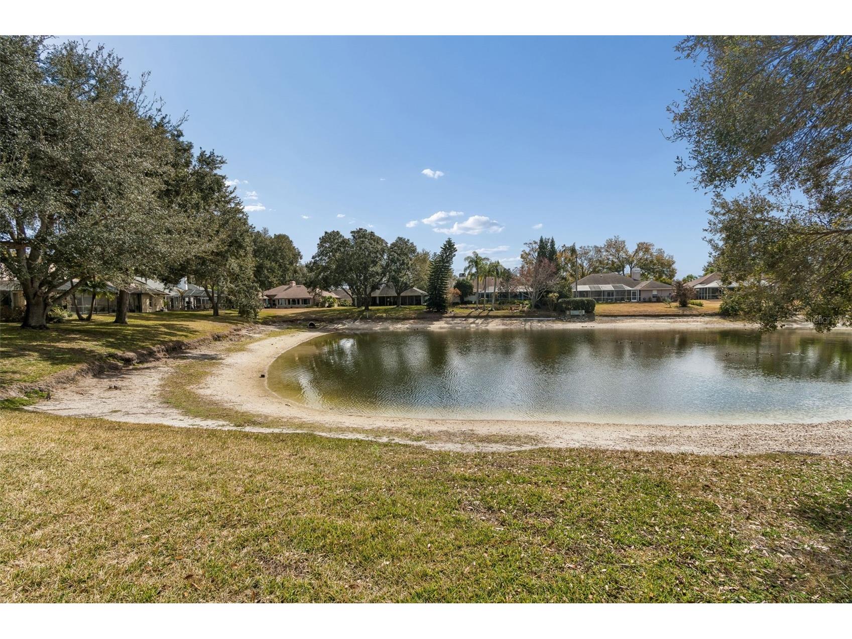 16711 Longleat Drive Lutz FL 33549 TB8476216 image60