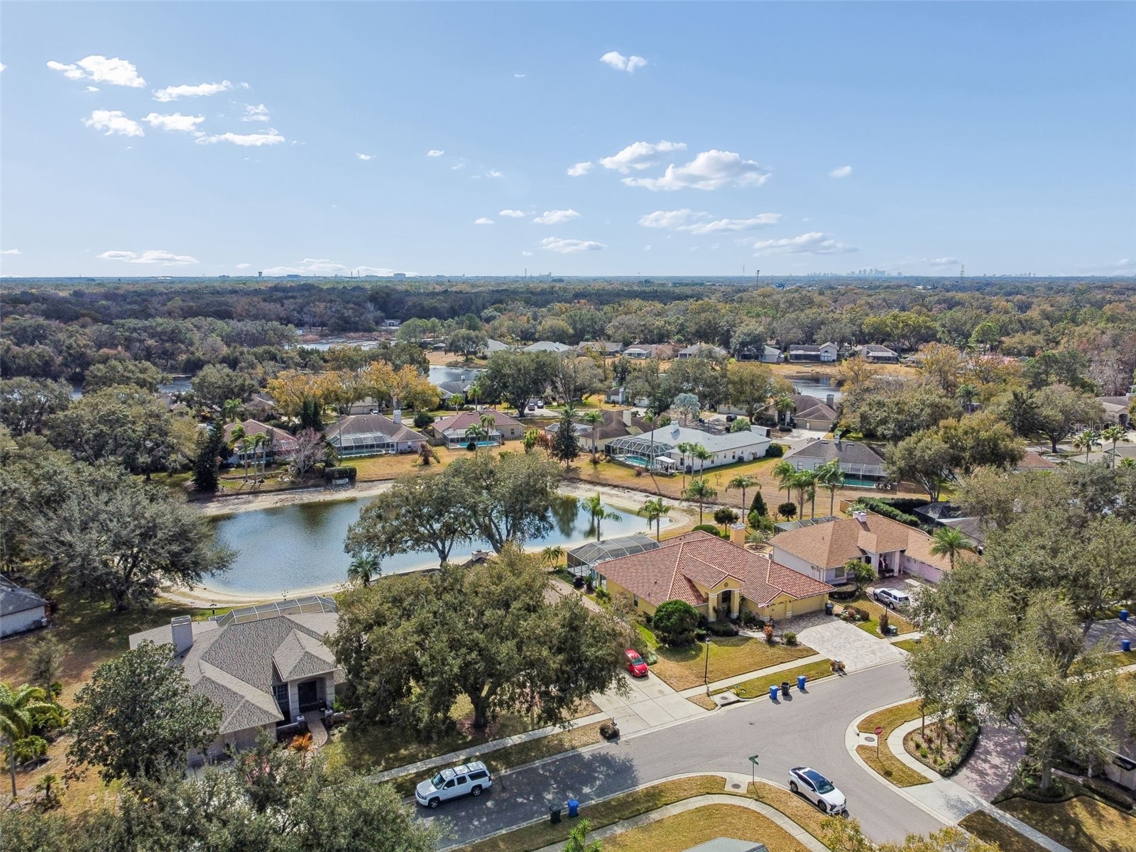 16711 Longleat Drive Lutz FL 33549 TB8476216 image65