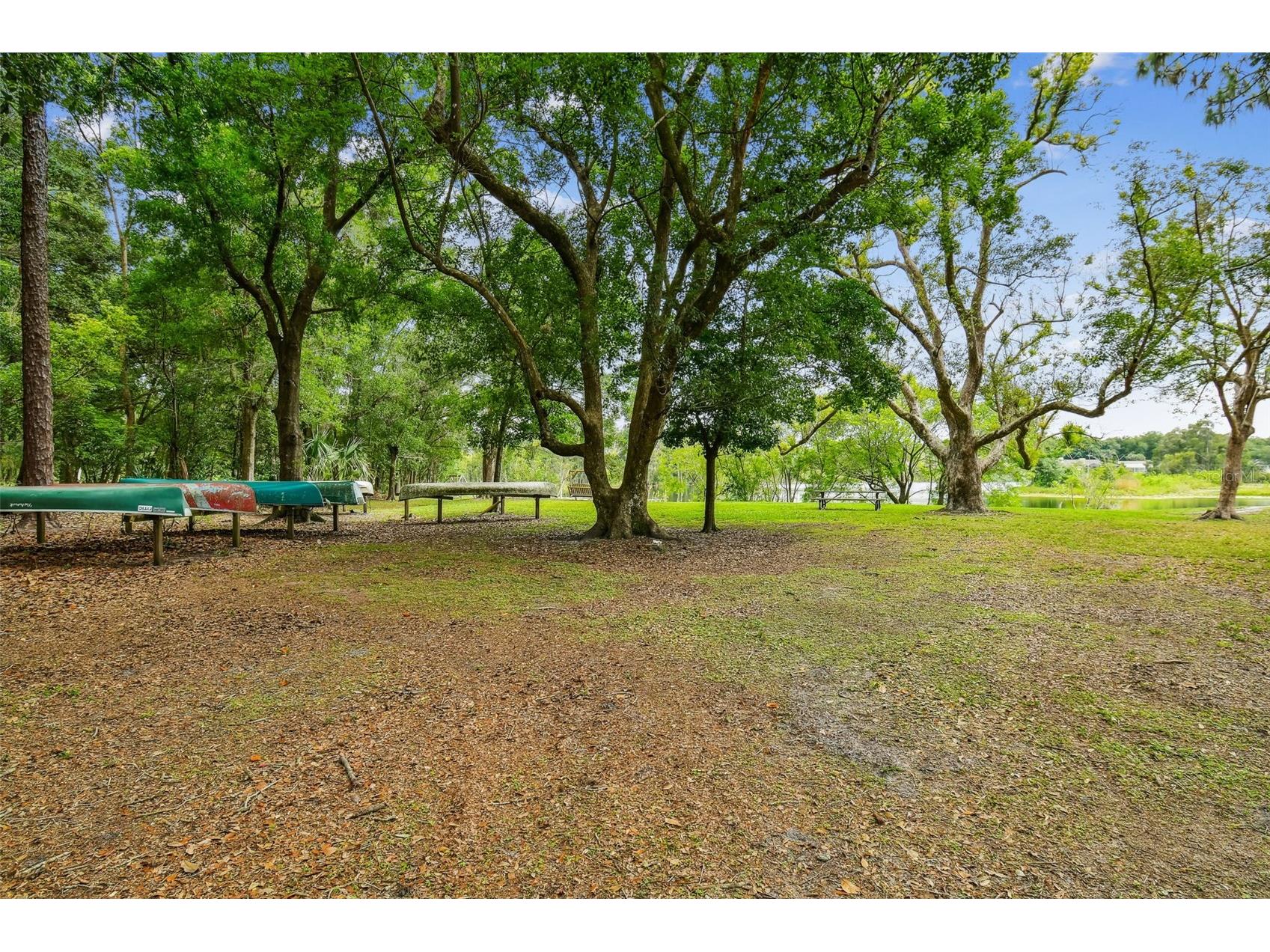16711 Longleat Drive Lutz FL 33549 TB8476216 image69