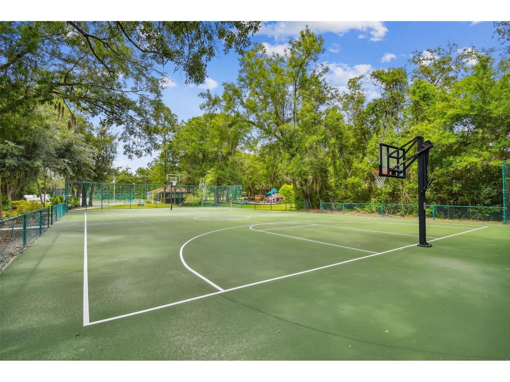 16711 Longleat Drive Lutz FL 33549 TB8476216 image75
