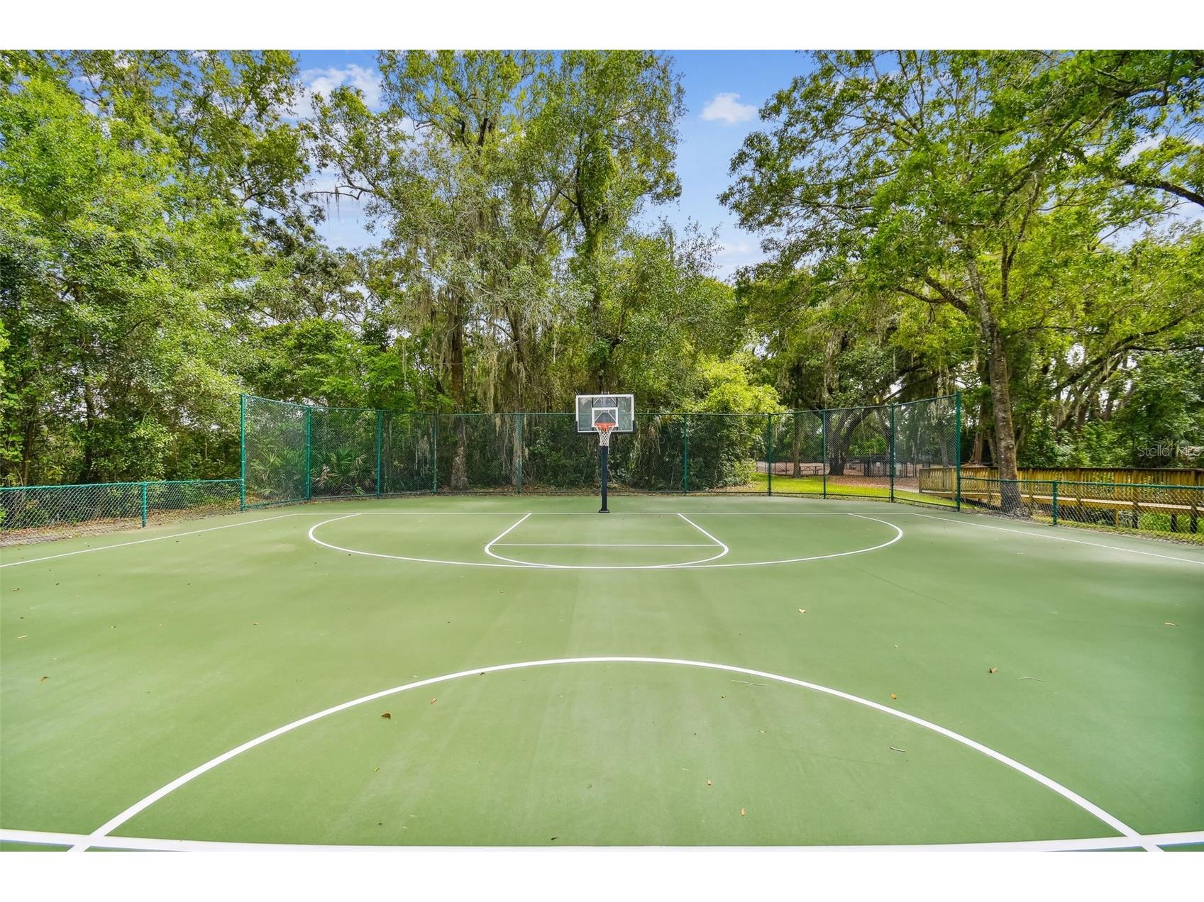 16711 Longleat Drive Lutz FL 33549 TB8476216 image76