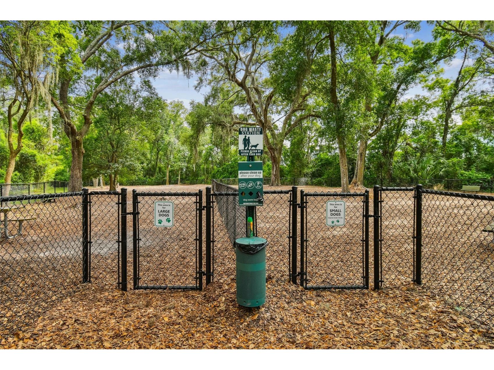 16711 Longleat Drive Lutz FL 33549 TB8476216 image77