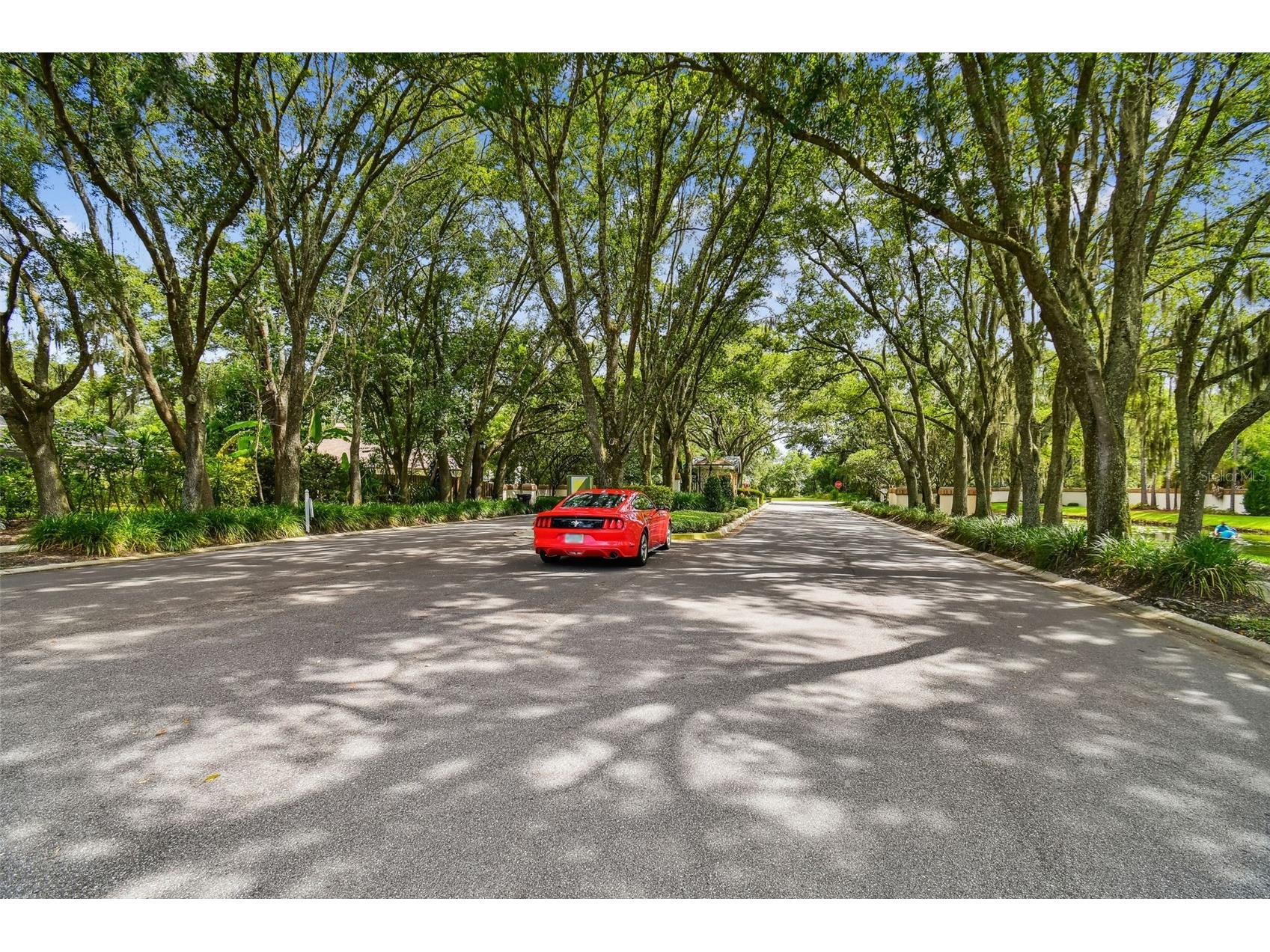 16711 Longleat Drive Lutz FL 33549 TB8476216 image82