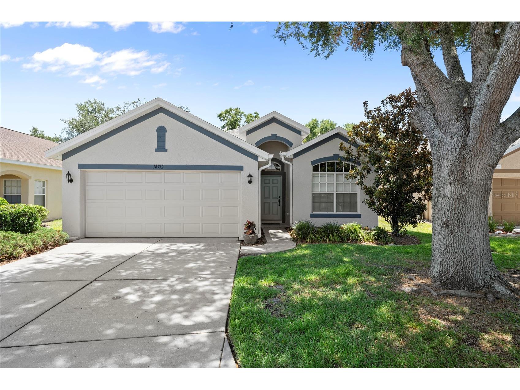 16712 Caracara Court Spring Hill FL 34610 TB8525755 image1