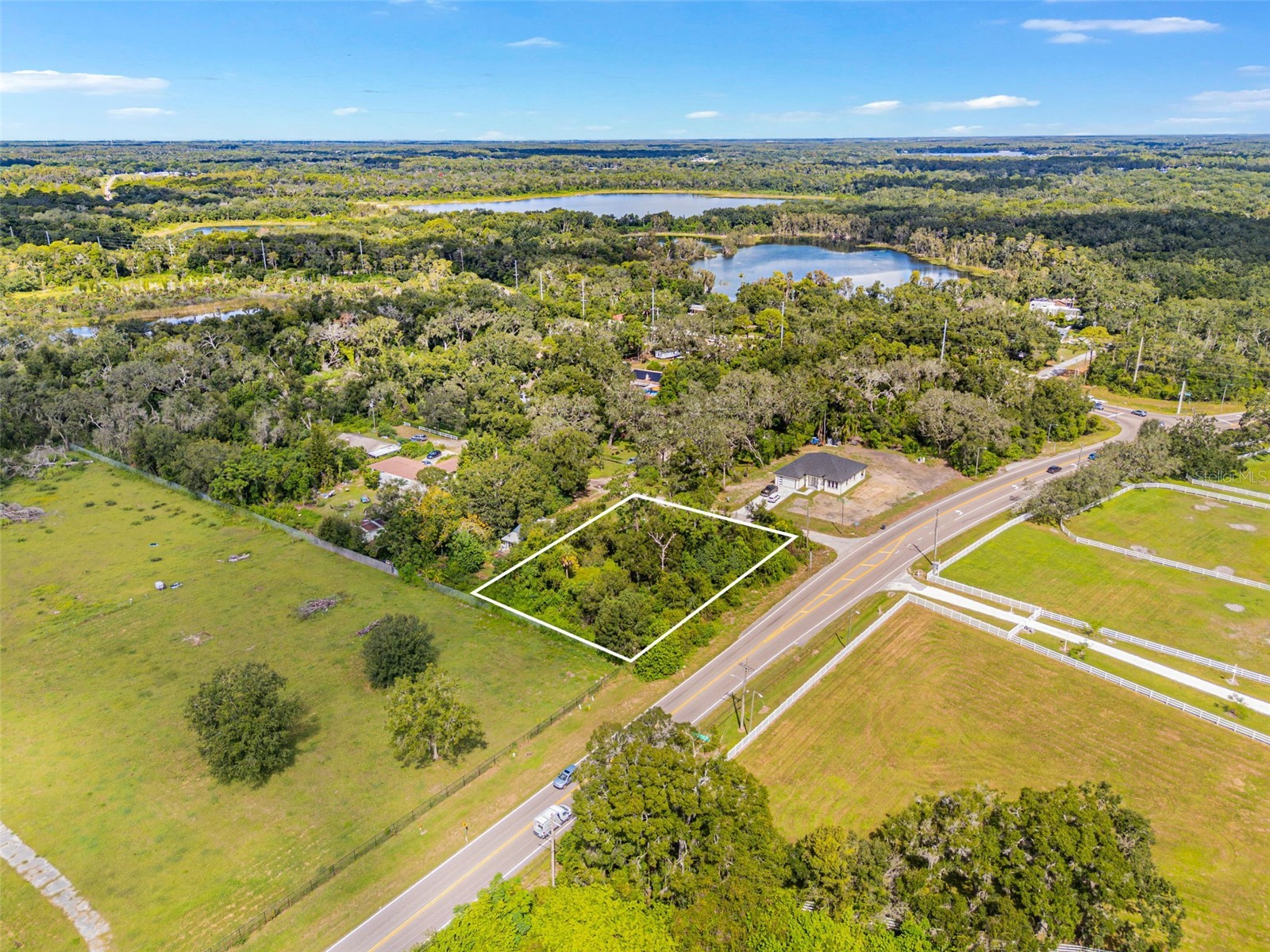 16713 Kodi Lane Odessa FL 33556 TB8433115 image3