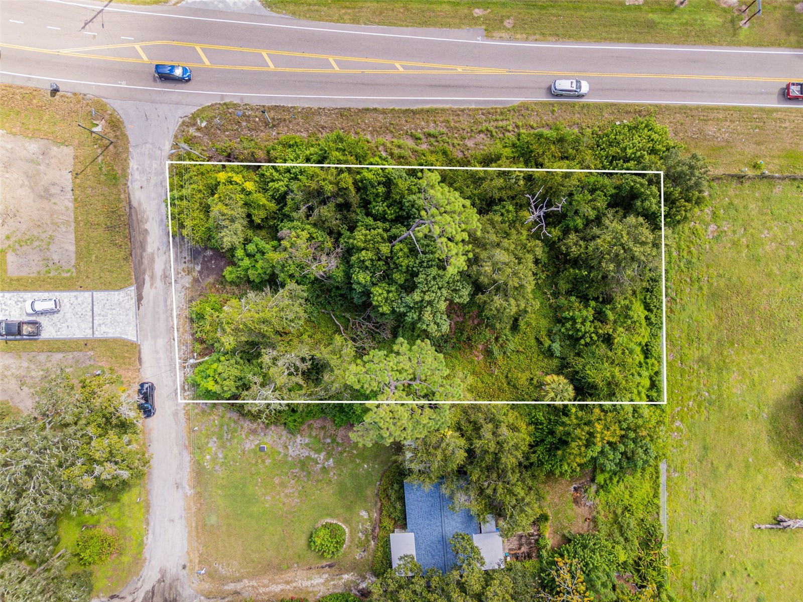 16713 Kodi Lane Odessa FL 33556 TB8433115 image5