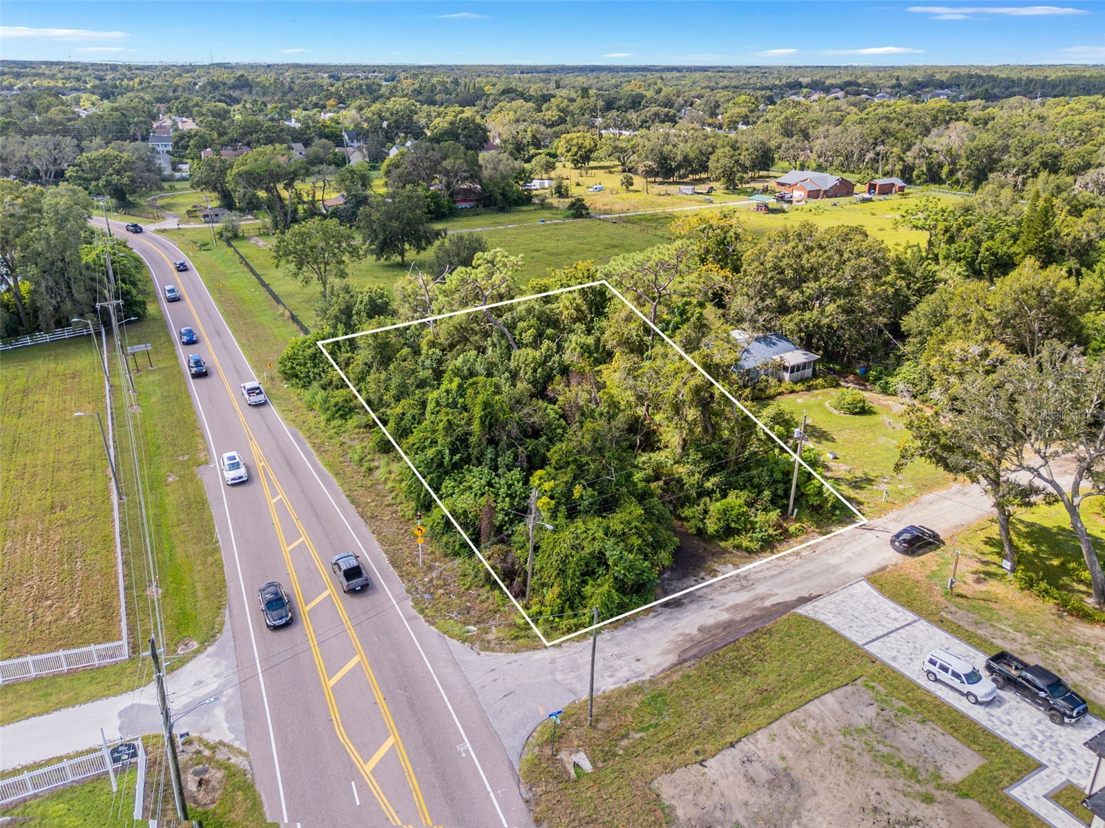 16713 Kodi Lane Odessa FL 33556 TB8433115 image6