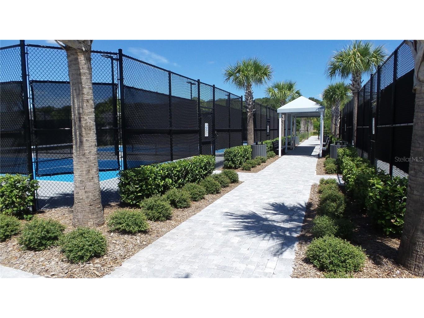 16715 Shell Bay Drive Land O Lakes FL 34638 TB8400586 image18