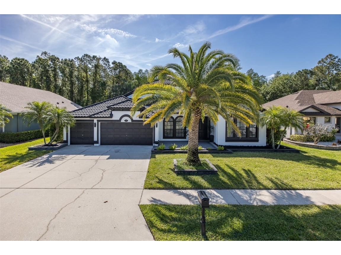 16716 Ivy Lake Drive Odessa FL 33556 W7864491 image1