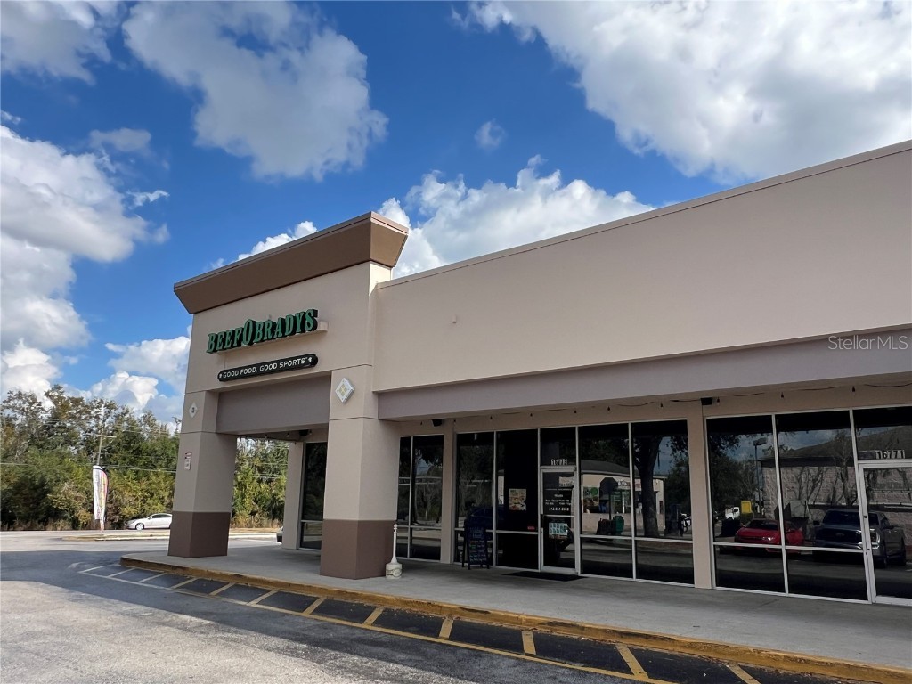 16719 Fishhawk Boulevard #16741 Lithia FL 33547 TB8453086 image11