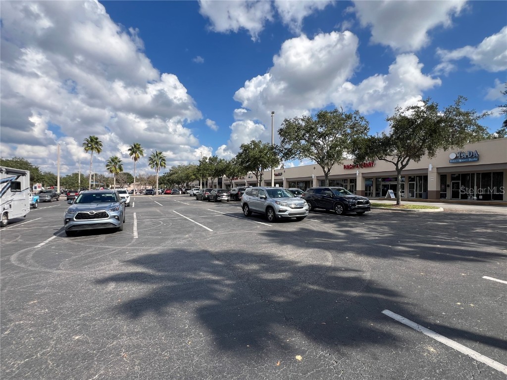 16719 Fishhawk Boulevard #16741 Lithia FL 33547 TB8453086 image14