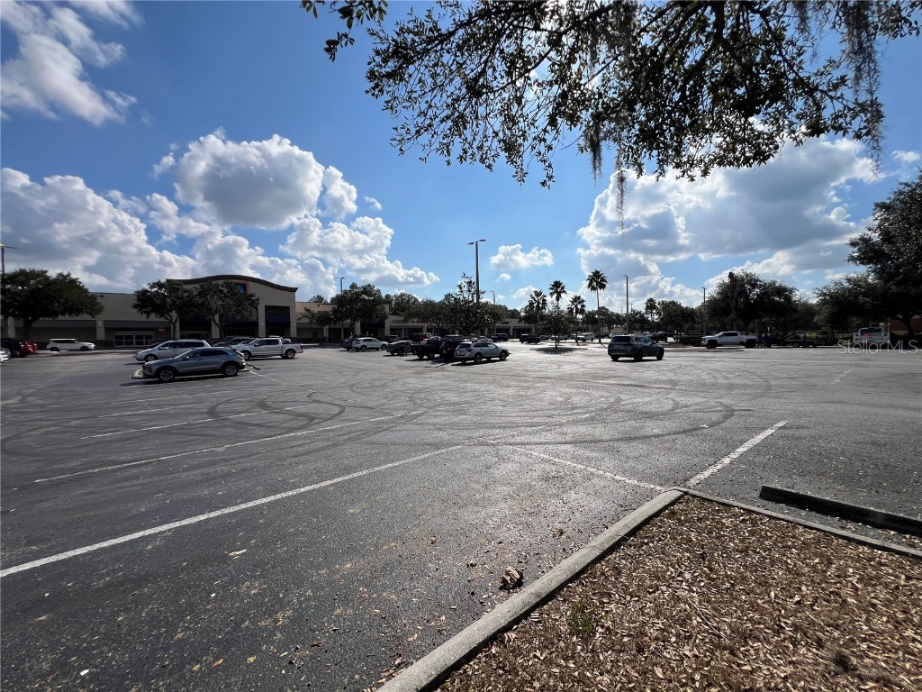16719 Fishhawk Boulevard #16741 Lithia FL 33547 TB8453086 image19
