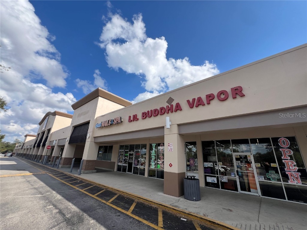 16719 Fishhawk Boulevard #16741 Lithia FL 33547 TB8453086 image6