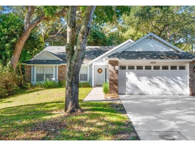 1672 Countrywood Street Tarpon Springs FL 34689 U8190906 image1