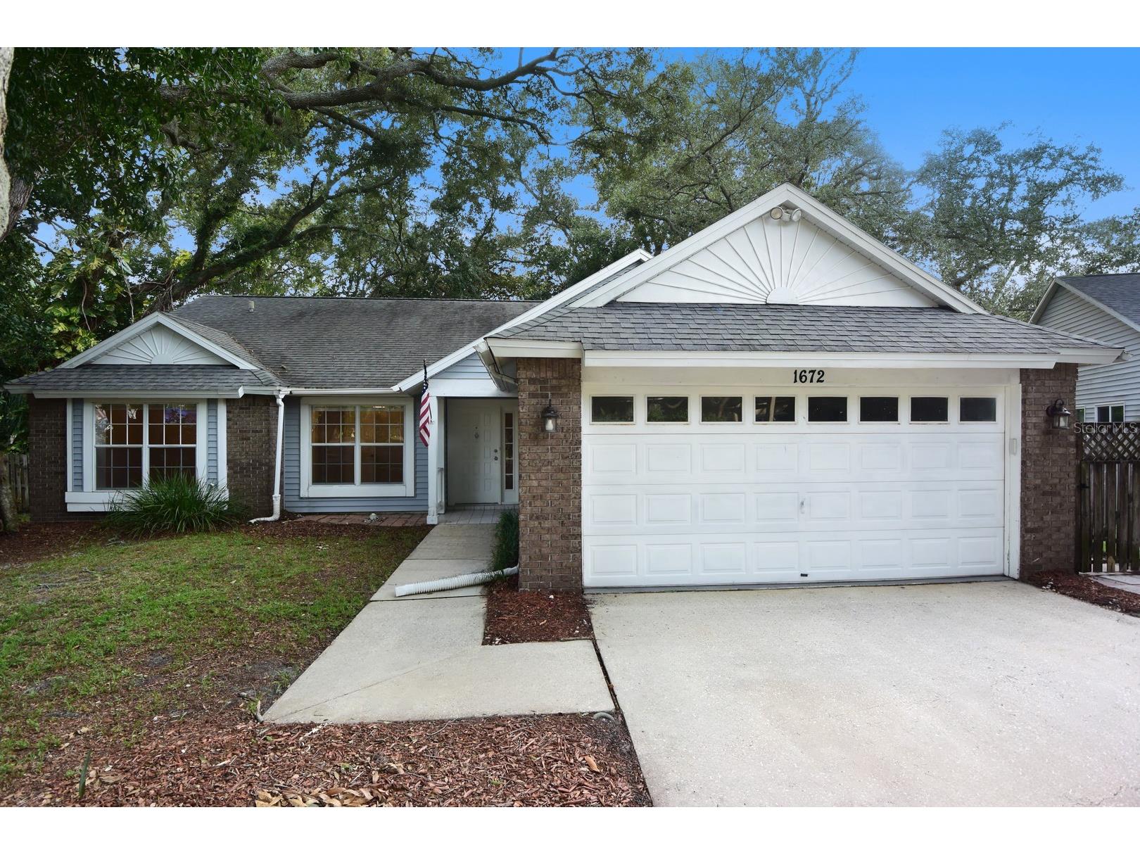 1672 Countrywood Street Tarpon Springs FL 34689 W7886211 image3
