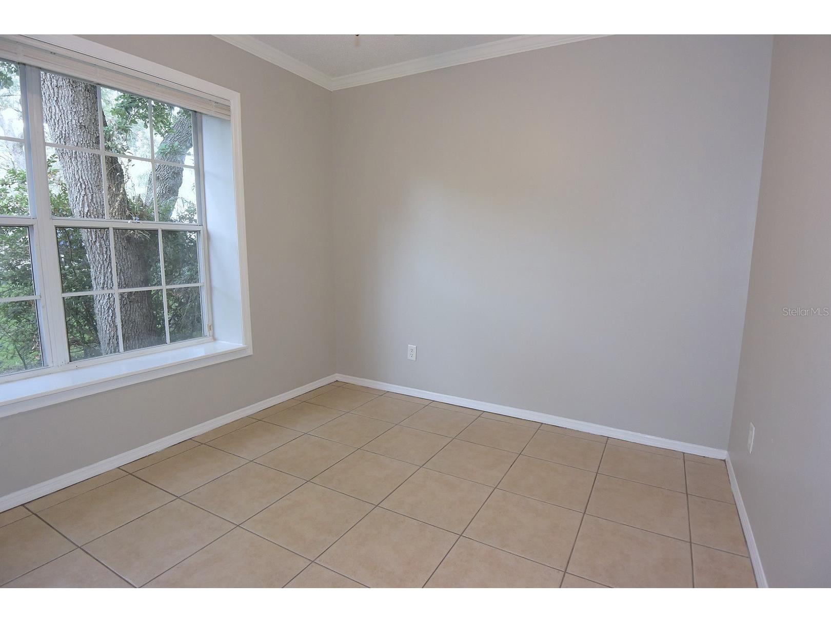 1672 Countrywood Street Tarpon Springs FL 34689 W7886211 image32