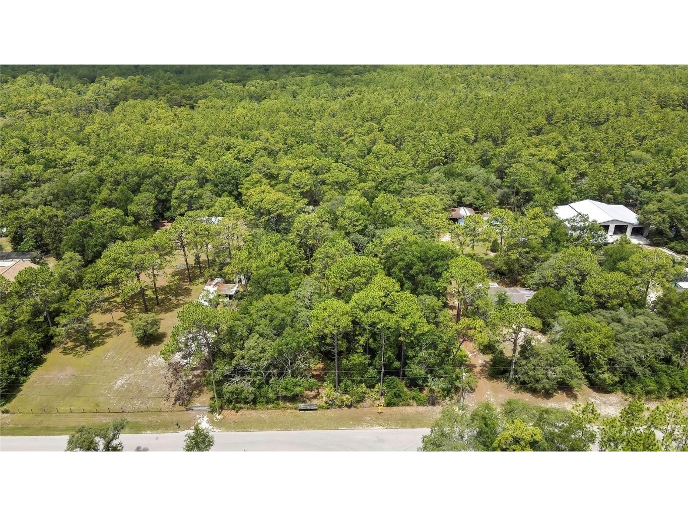 1672 S Colonial Avenue Homosassa FL 34448 W7876748 image10