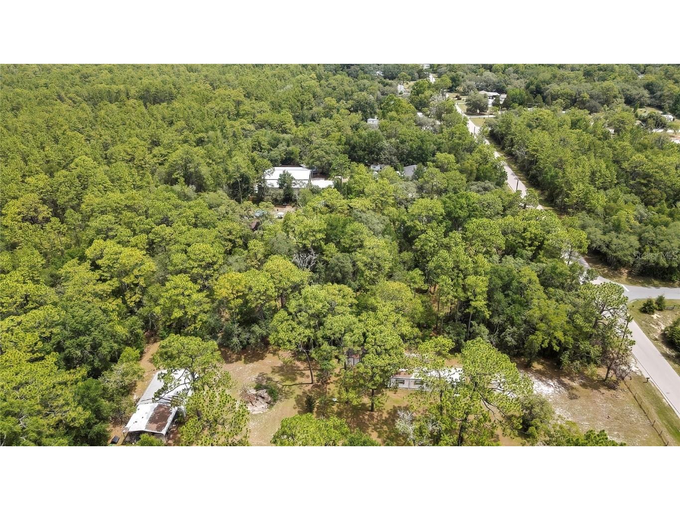 1672 S Colonial Avenue Homosassa FL 34448 W7876748 image3