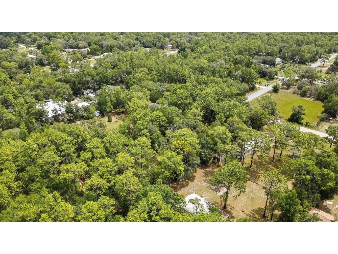 1672 S Colonial Avenue Homosassa FL 34448 W7876748 image5