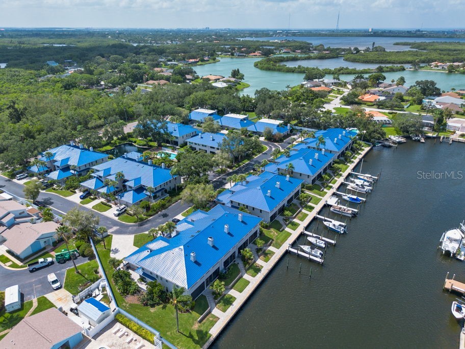 1672 Watermark Circle NE Saint Petersburg FL 33702 TB8531944 image59