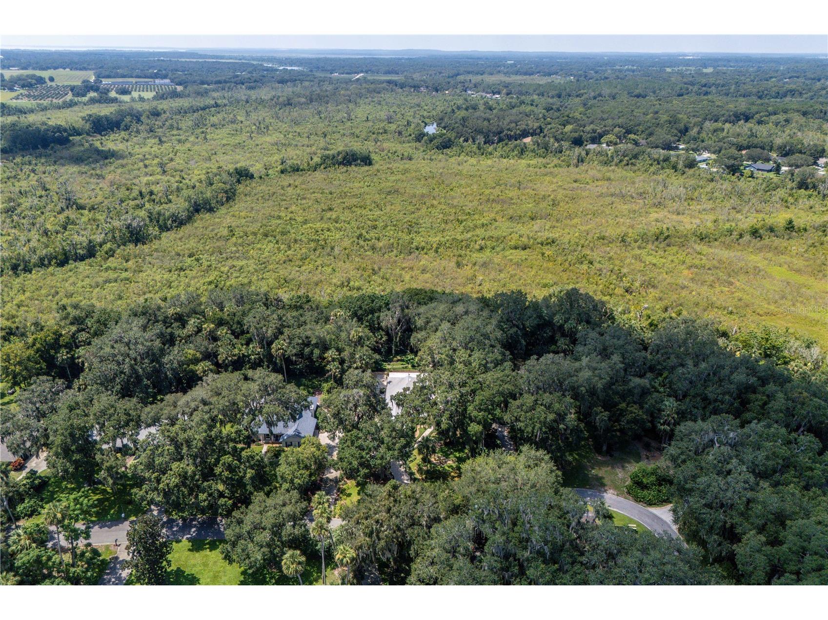 16720 Beauclaire Ct Tavares FL 32778 - HARRIS CHAIN OF LAKES G5113762 image41