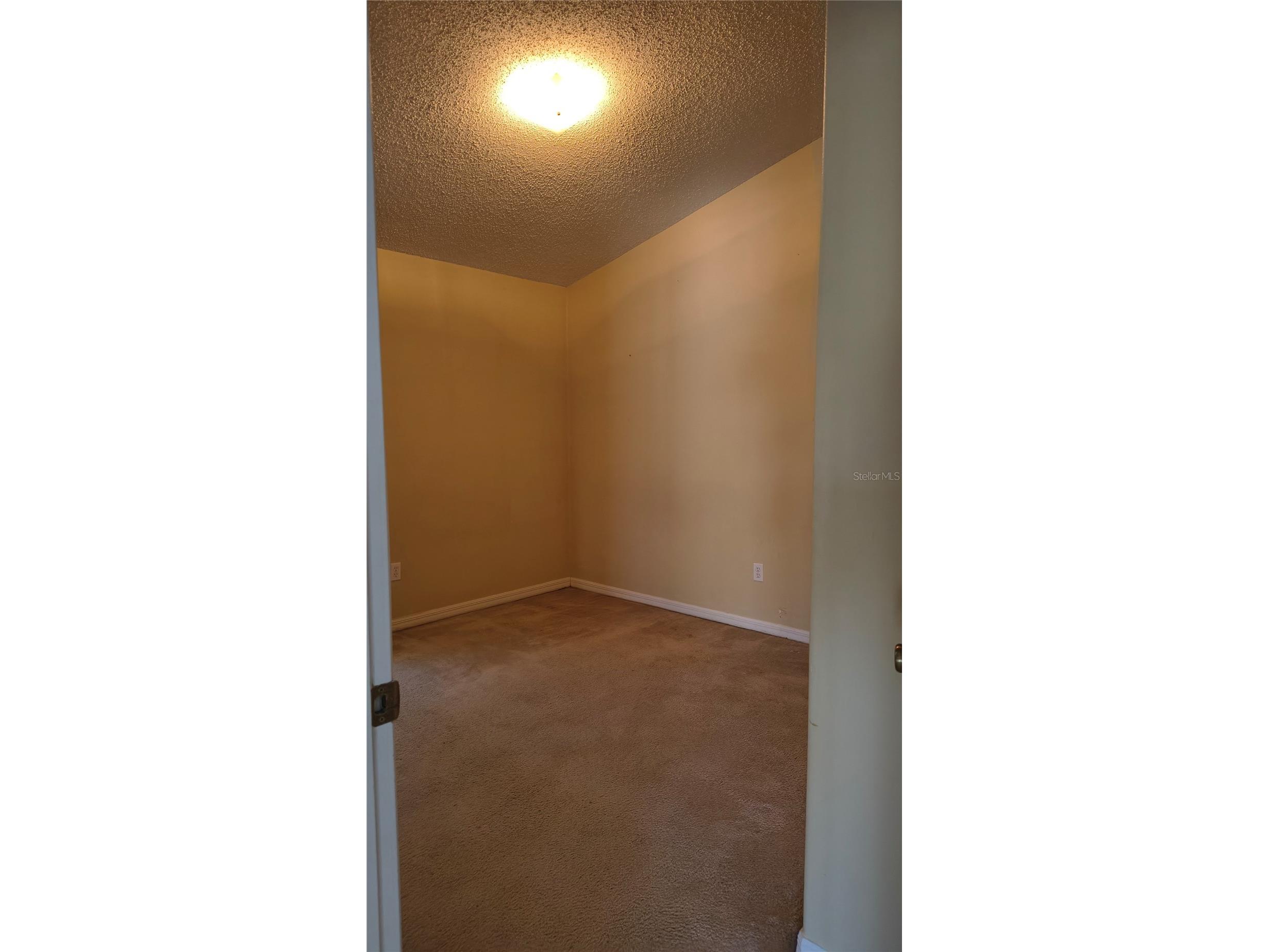 16721 S Rolling Green Drive S Clermont FL 34714 O6385998 image15