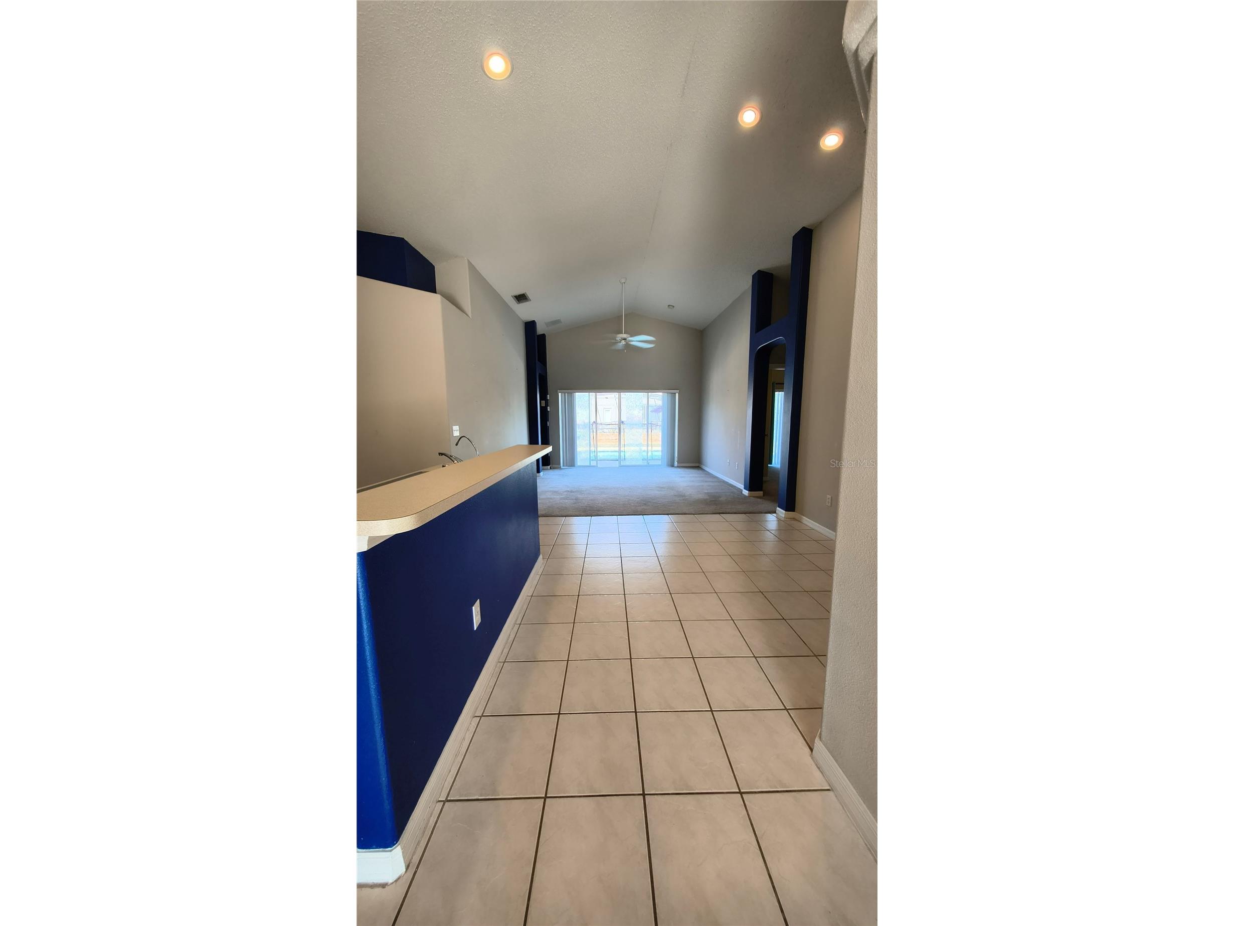 16721 S Rolling Green Drive S Clermont FL 34714 O6385998 image7
