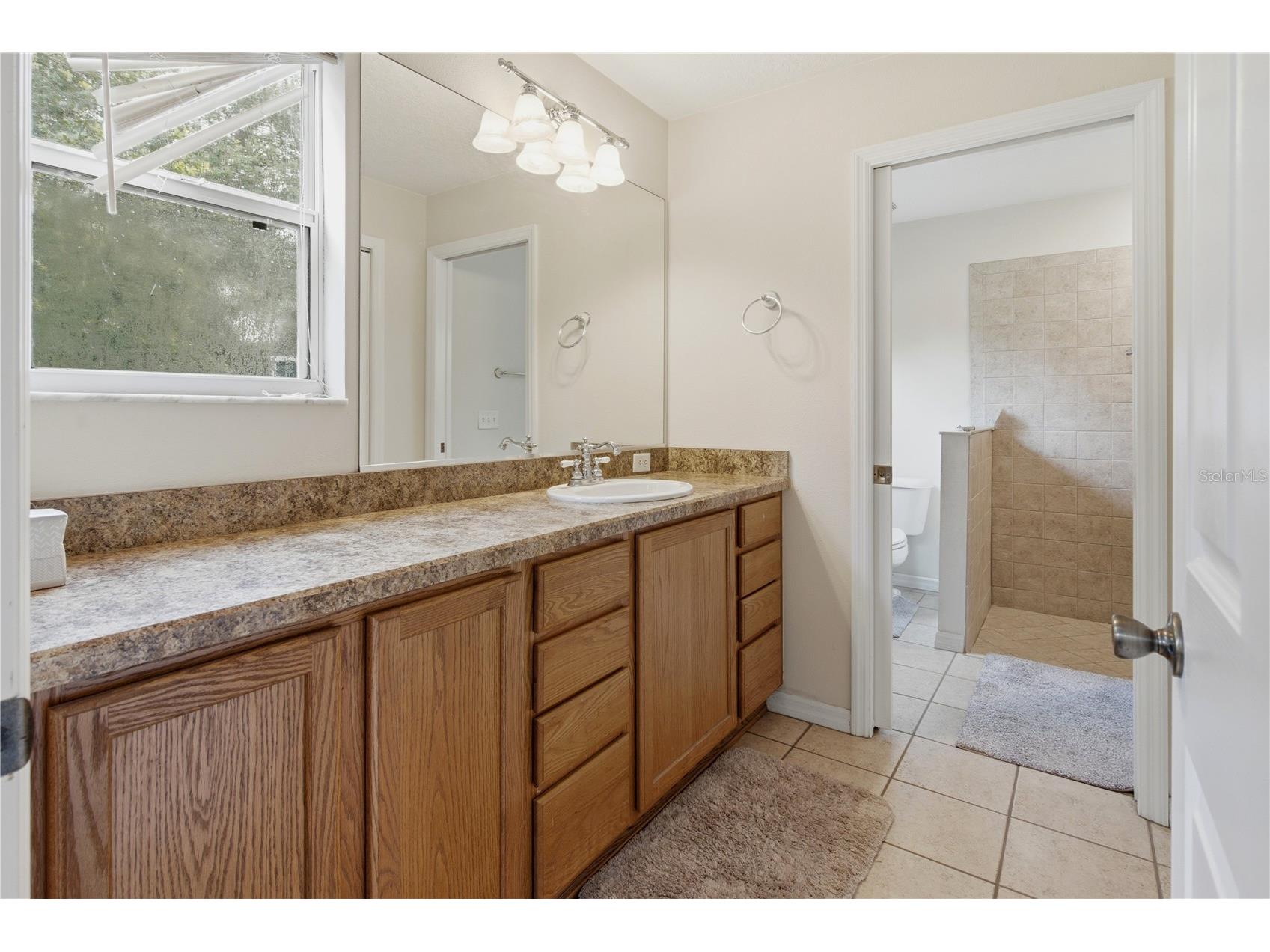 16723 SE 173rd Terrace Road Weirsdale FL 32195 - No name O6416233 image25