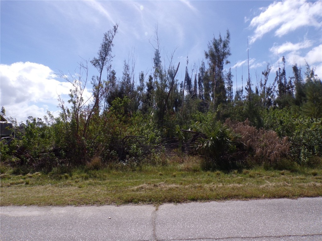 16724 Liggett Circle Port Charlotte FL 33981 - SANTA CRUZ WATERWAY C7499246 image1