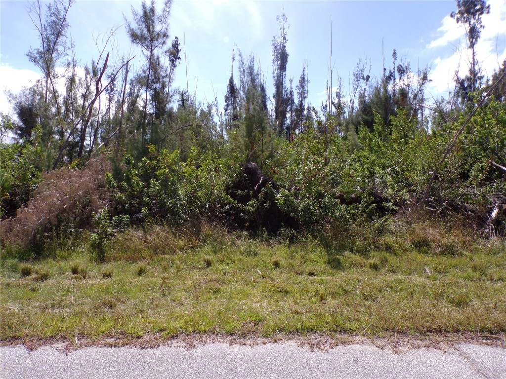 16724 Liggett Circle Port Charlotte FL 33981 - SANTA CRUZ WATERWAY C7499246 image9