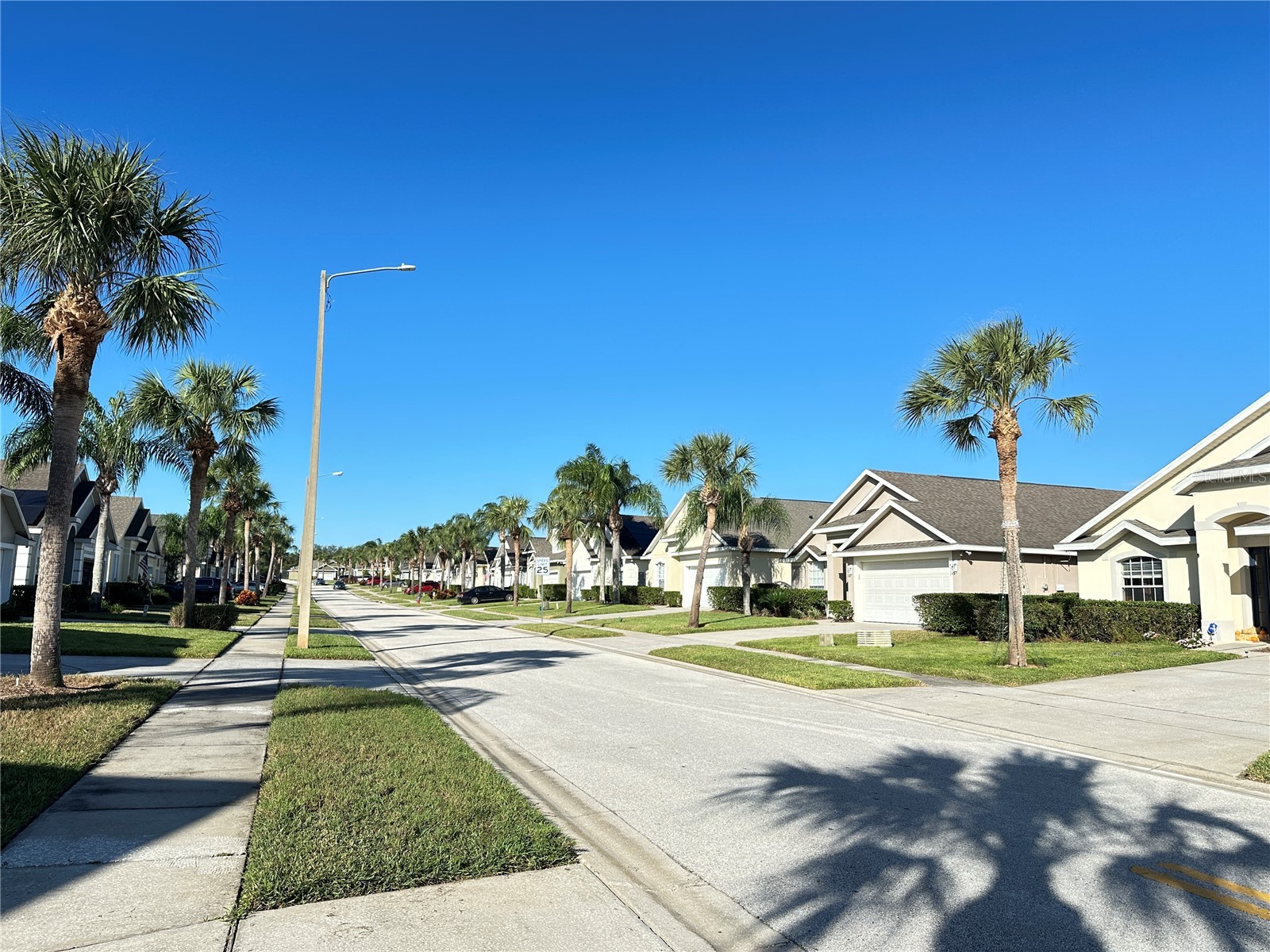 16724 Rolling Green Drive Clermont FL 34714 O6396443 image4