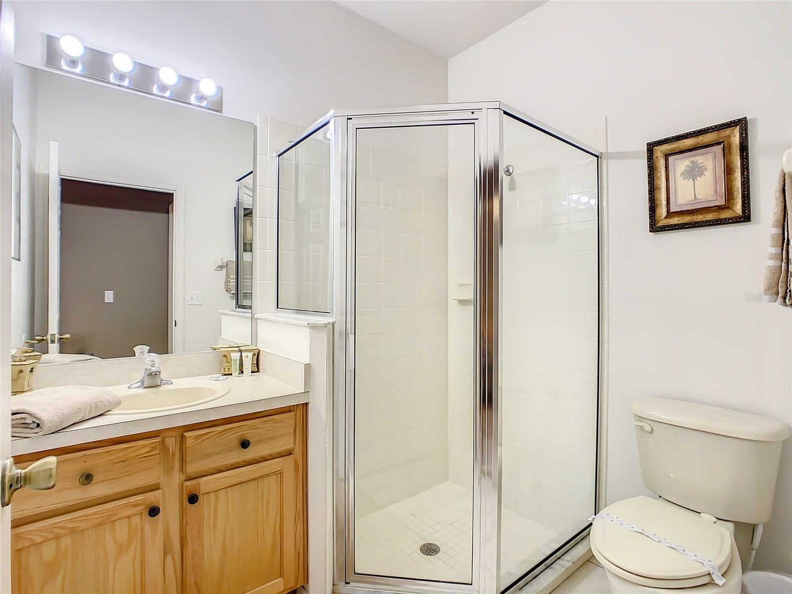 16724 Rolling Green Drive Clermont FL 34714 O6396443 image44