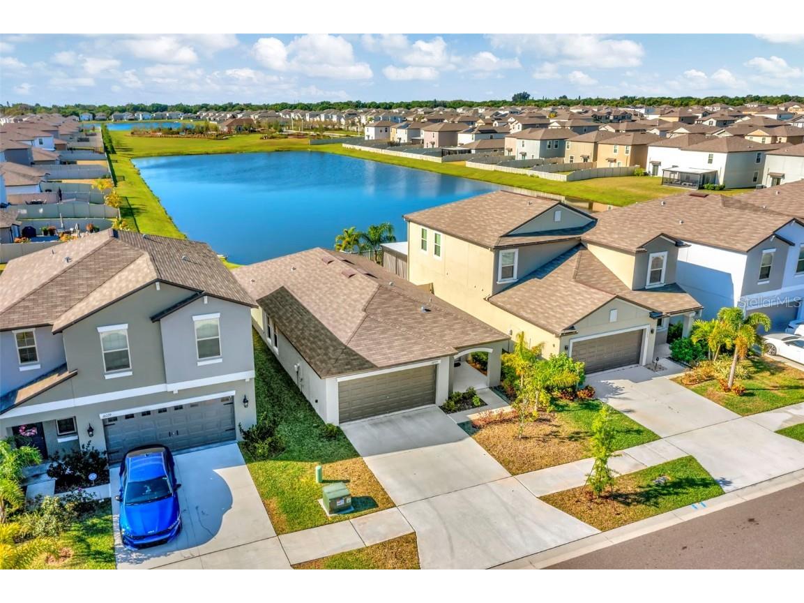 16725 Delia Street Wimauma FL 33598 T3515425 image1