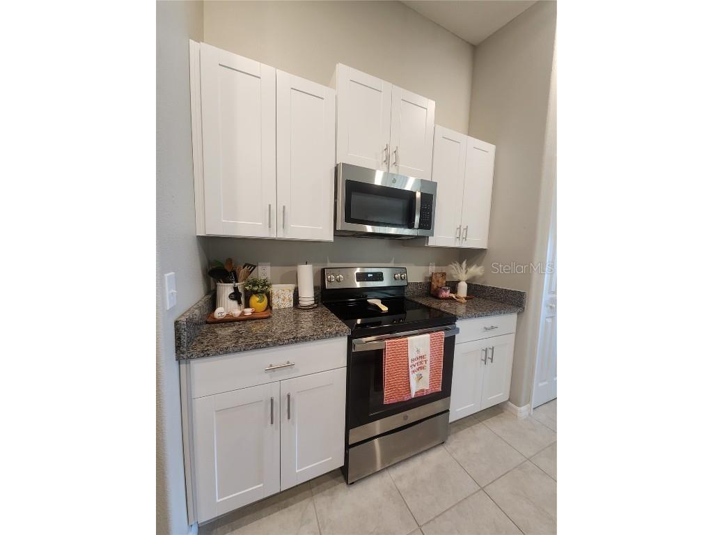 16725 Delia Street Wimauma FL 33598 TB8390566 image10