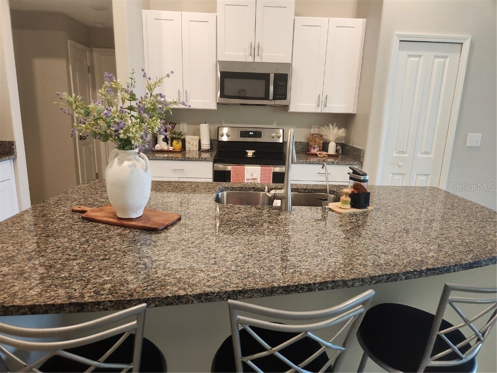 16725 Delia Street Wimauma FL 33598 TB8390566 image12