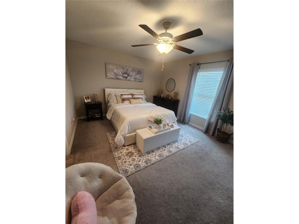 16725 Delia Street Wimauma FL 33598 TB8390566 image19