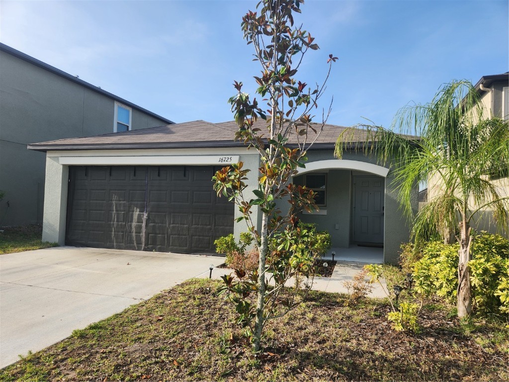 16725 Delia Street Wimauma FL 33598 TB8390566 image2