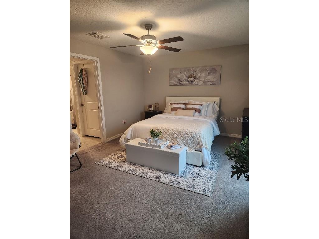 16725 Delia Street Wimauma FL 33598 TB8390566 image20