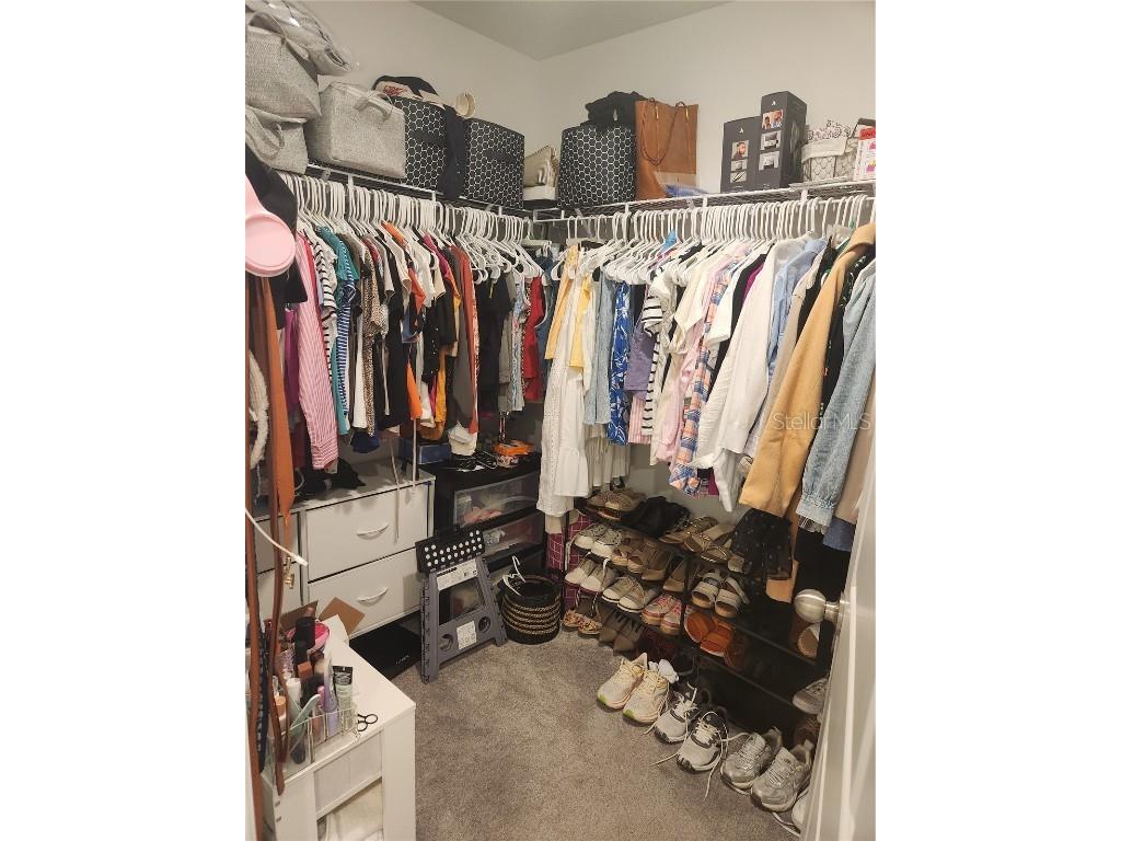 16725 Delia Street Wimauma FL 33598 TB8390566 image26