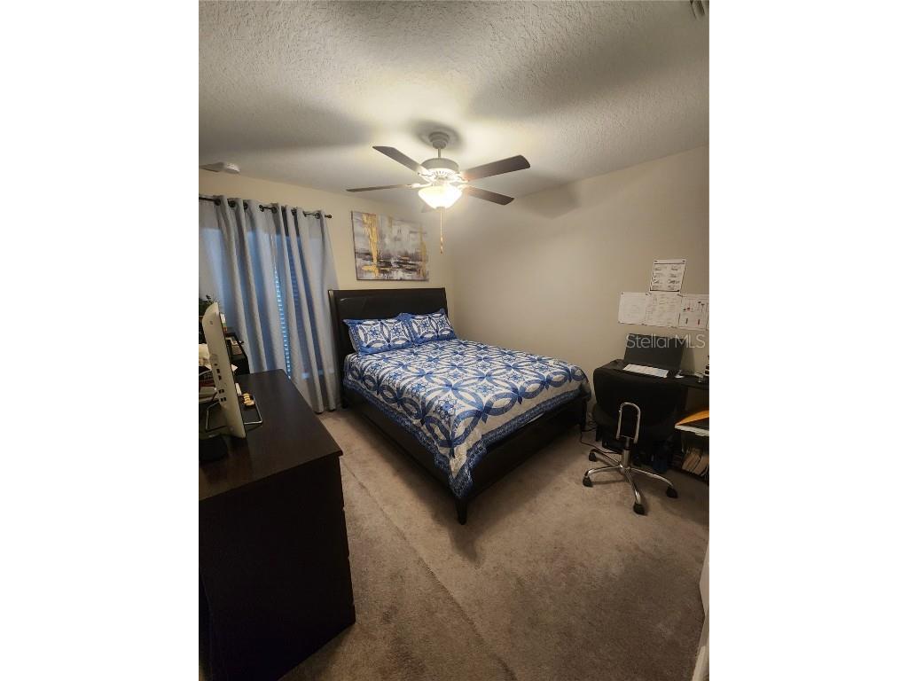 16725 Delia Street Wimauma FL 33598 TB8390566 image27