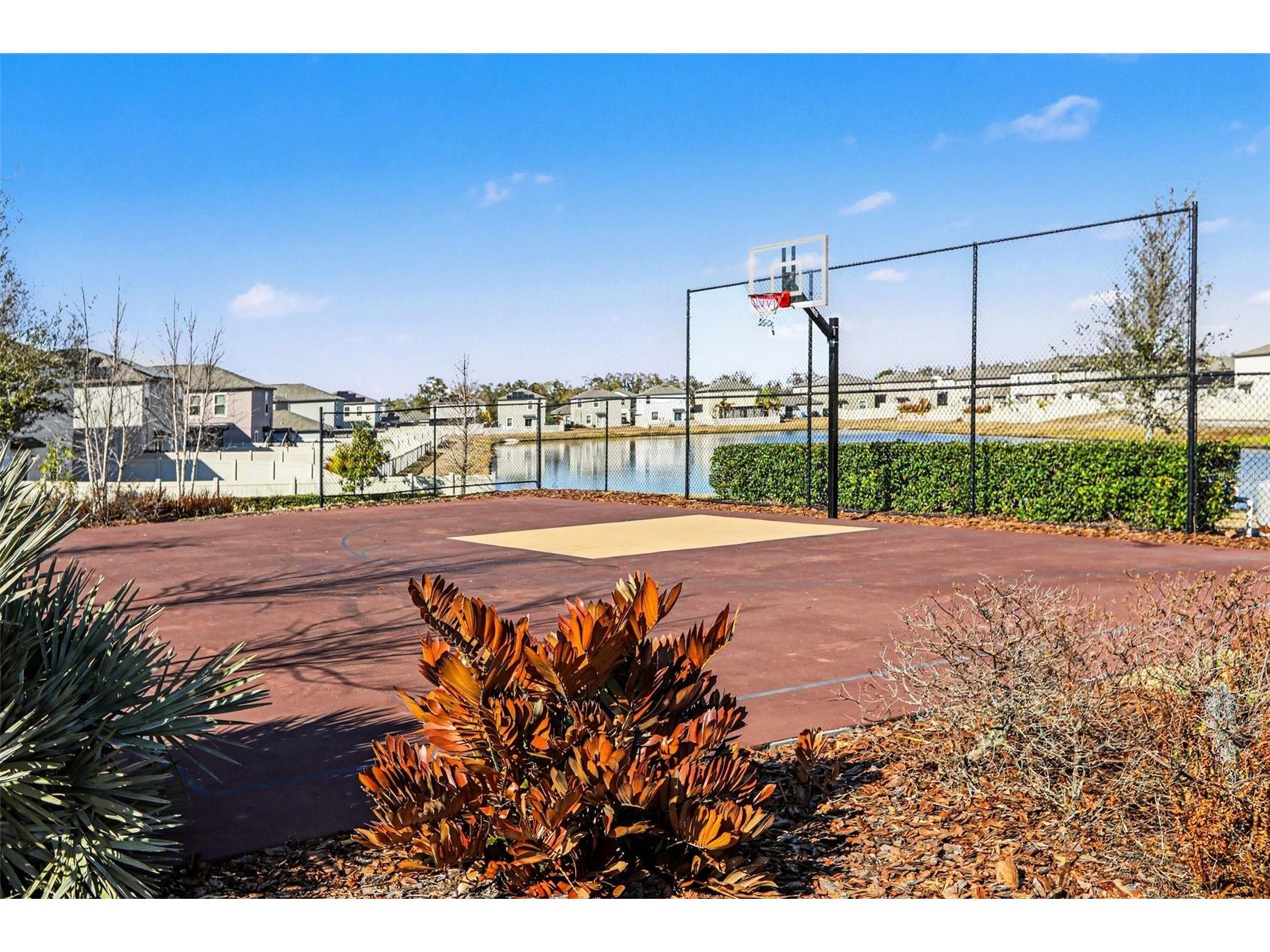 16726 Carlton Pond Street Wimauma FL 33598 TB8475170 image12