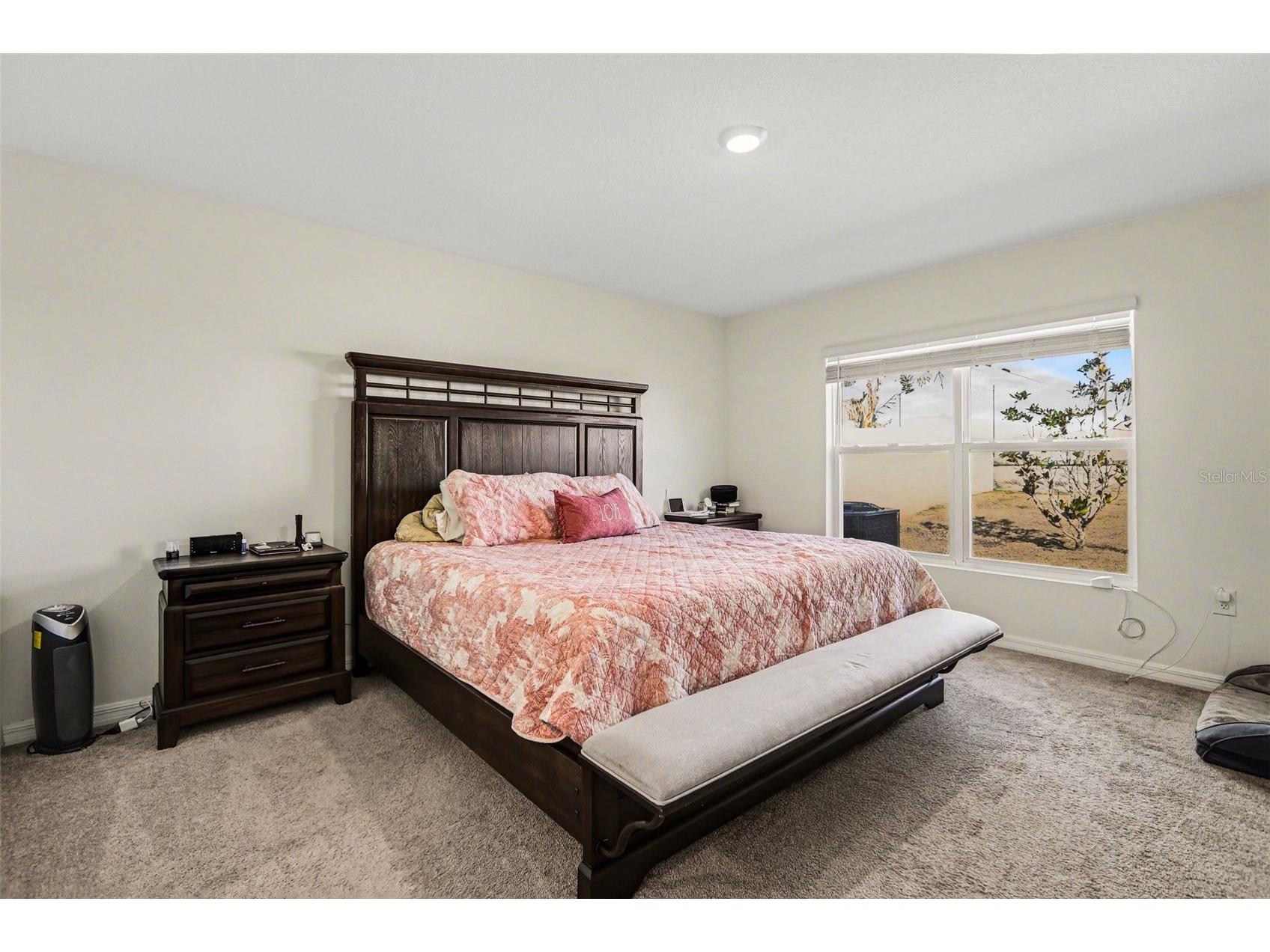 16726 Carlton Pond Street Wimauma FL 33598 TB8475170 image6